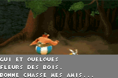 Screenshot from Asterix & Obelix XXL (Europe) (En,Fr,De,Es,It,Nl)