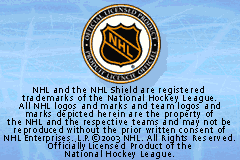 Screenshot from Backyard Hockey (USA)