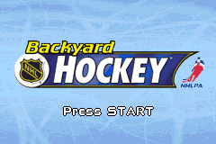 Screenshot from Backyard Hockey (USA)