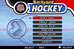 Screenshot from Backyard Hockey (USA)