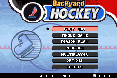 Screenshot from Backyard Hockey (USA)