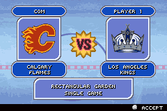 Screenshot from Backyard Hockey (USA)