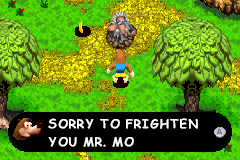 Screenshot from Banjo-Kazooie - Grunty's Revenge (Europe) (Beta 2)