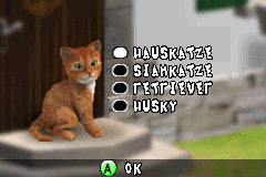 Screenshot from Best Friends - Hunde & Katzen (Germany) (En,De)
