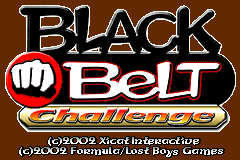 Screenshot from Black Belt Challenge (Europe)