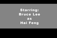 Screenshot from Bruce Lee - Return of the Legend (Europe) (En,Fr,De,Es,It)