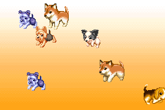 Screenshot from Dogz (France)