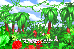 Screenshot from Donkey Kong Country (Europe) (En,Fr,De,Es,It)