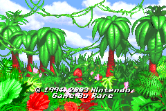 Screenshot from Donkey Kong Country (USA)