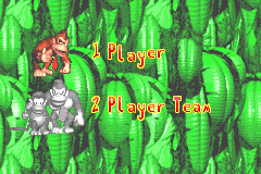 Screenshot from Donkey Kong Country (USA)