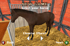 Screenshot from Horsez (USA)