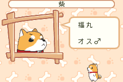 Screenshot from Inukko Club (Japan)