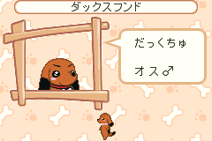 Screenshot from Inukko Club (Japan)