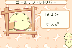 Screenshot from Inukko Club (Japan)