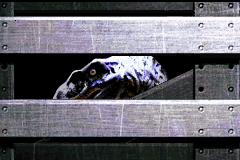 Screenshot from Jurassic Park Institute Tour - Dinosaur Rescue (Japan)