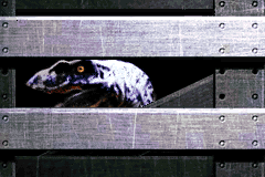 Screenshot from Jurassic Park Institute Tour - Dinosaur Rescue (Japan)