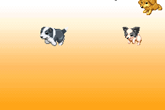 Screenshot from Kawaii Koinu Wonderful (Japan)