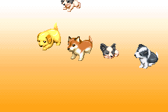 Screenshot from Kawaii Koinu Wonderful (Japan)