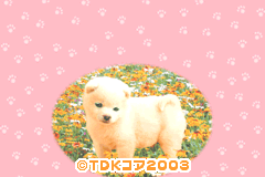 Screenshot from Koinu-chan no Hajimete no Osanpo - Koinu no Kokoro Ikusei Game (Japan)