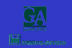 Screenshot from Lunar Legend (USA)