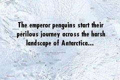 Screenshot from March of the Penguins (USA)