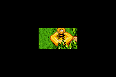 Screenshot from Maya the Bee - Sweet Gold (Europe) (En,Fr,De,Es,It)