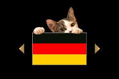 Screenshot from Meine Tierarztpraxis (Germany) (En,De)