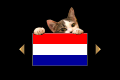 Screenshot from Mijn Dierenpraktijk (Netherlands) (En,Nl)