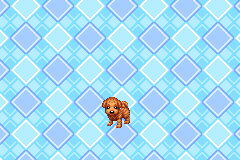 Screenshot from Nakayoshi Pet Advance Series 4 - Kawaii Koinu Mini - Wanko to Asobou!! Kogata-ken (Japan)