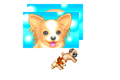 Screenshot from Nakayoshi Pet Advance Series 4 - Kawaii Koinu Mini - Wanko to Asobou!! Kogata-ken (Japan)