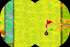 Screenshot from Over the Hedge - Hammy Goes Nuts! (Europe) (En,Fr,De,Es,It,Nl)
