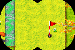 Screenshot from Over the Hedge - Hammy Goes Nuts! (USA)