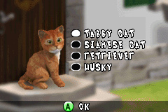 Screenshot from Paws & Claws - Best Friends - Dogs & Cats (USA)