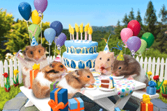 Screenshot from Petz - Hamsterz Life 2 (USA)