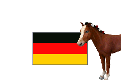 Screenshot from Pferd & Pony - Best Friends - Mein Pferd (Germany) (En,De)