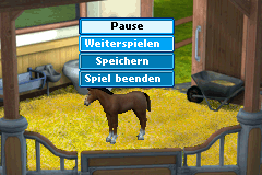 Screenshot from Pferd & Pony - Best Friends - Mein Pferd (Germany) (En,De)