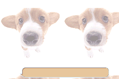Screenshot from Pocket Dogs (USA)
