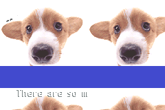 Screenshot from Pocket Dogs (USA)