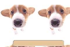 Screenshot from Poke Inu (Japan)