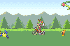 Screenshot from Pokemon - Emerald Version (USA, Europe)