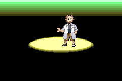 Screenshot from Pokemon - Emerald Version (USA, Europe)