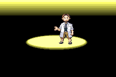 Screenshot from Pokemon - Ruby Version (USA, Europe) (Rev 2)
