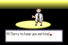 Screenshot from Pokemon - Ruby Version (USA, Europe) (Rev 2)