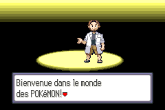 Screenshot from Pokemon - Version Saphir (France)