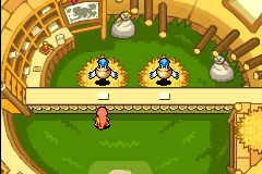 Screenshot from Pokemon Mystery Dungeon - Red Rescue Team (USA) (Demo) (Kiosk)
