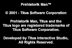 Screenshot from Prehistorik Man (USA, Europe) (En,Fr,De,Es,It,Nl)