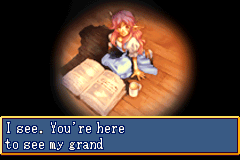 Screenshot from Shining Soul (USA)