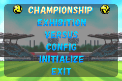 Screenshot from Super Dodge Ball Advance (Europe)