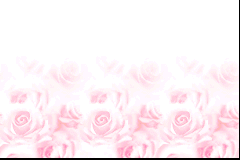 Screenshot from Tanbi Musou - Meine Liebe (Japan)