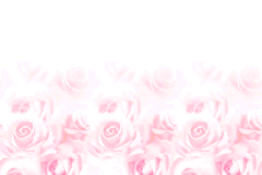 Screenshot from Tanbi Musou - Meine Liebe (Japan)